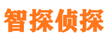 渠县市侦探公司